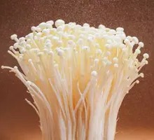 Enoki Mushroom