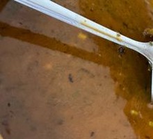 Sour Cabbage and Red Bean Soup