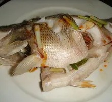 Steamed Sea Bass