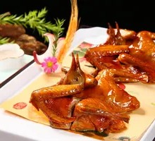 Premium Pigeon Royale