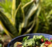 Cold-Mixed Pea Noodles