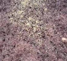 Pineapple Fried Rice