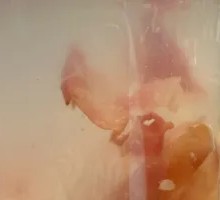 Rose Flower Sweet Rice Wine