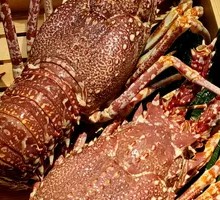 Australian Lobster
