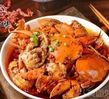 Young Ginger Burmese Crab