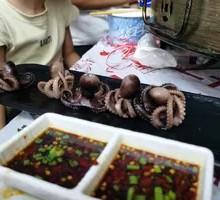 Steamed Small Octopus