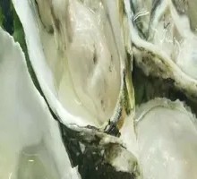 Grilled Oysters