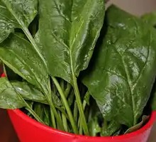 Spinach