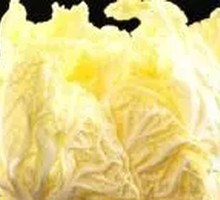 Napa cabbage