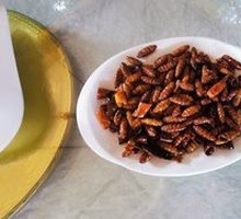 Silkworm pupae