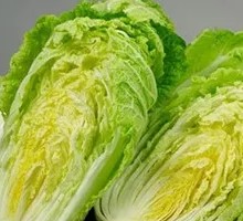 Napa cabbage