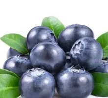 Yunnan Blueberry