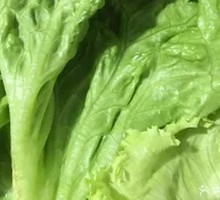 Lettuce