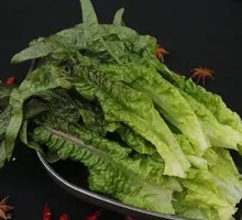 Bitter lettuce leaves