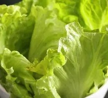 Lettuce