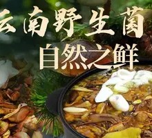 Fresh Wild Mushrooms