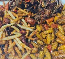 Silkworm Pupa, Bamboo Worm, and Grasshopper Platter