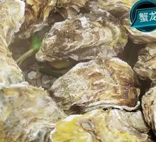 Steamed Rushan Oysters