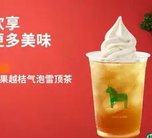 Apple Blueberry Bubbly Snow Top Tea