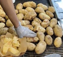 Chestnut Charcoal-Baked Potato