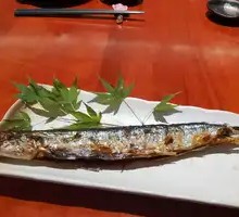Salt-grilled Saury