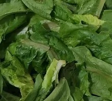 Oilseed lettuce