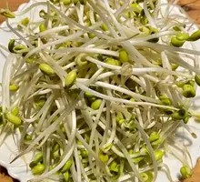 Bean sprouts