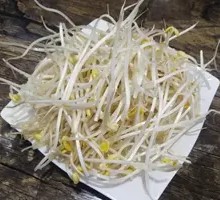 Bean sprouts