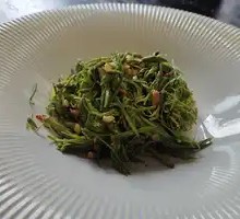 Green Tea Sprout with Pine Tips