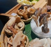 Wild Mushroom Hot Pot