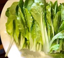 Ecological Romaine Lettuce