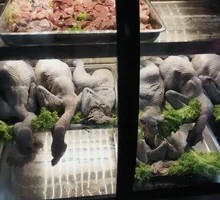 Freshly Slaughtered Free-Range Chicken