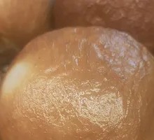 Yuchang Pine Nut Sausage