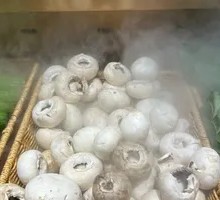 King Oyster Mushroom