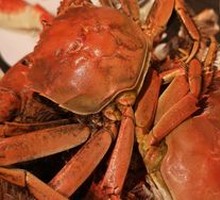 Crab, Salmon, Dessert, Pork Shank