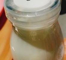 Xylitol Plain Yogurt