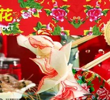 Butterfly Loves Flower