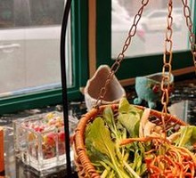 Premium Vegetable Platter