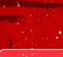 Stewed Goose in Iron Pot