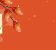 Pork Stew with Noodles and Vegetables