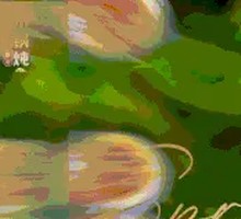 Pork Rib and Green Bean Stew with Pancake