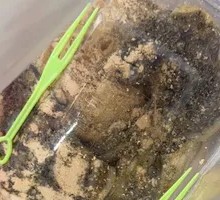 Red Bean Stuffed Rice Cake