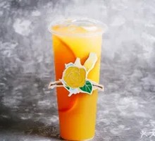 Orange Blossom Camellia