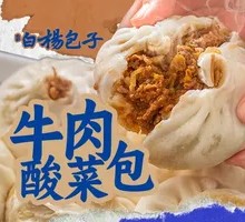 Beef and Sauerkraut Dumplings