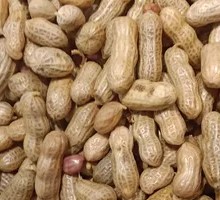 Salted Peanuts