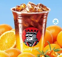 Sea Buckthorn Orange C Sparkling Coffee