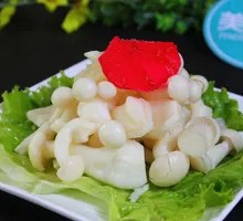 White Cloud Mushroom
