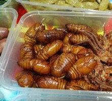 Jasmine Fragrant Silkworm Pupa