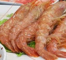 Argentine Shrimp