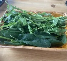Mixed Greens Delight